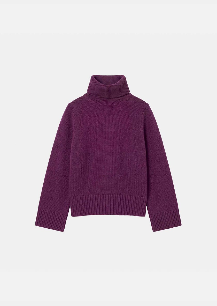 Pull Palina mûre à col roulé Mûre TARA JARMON